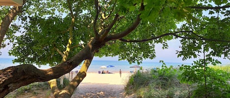 Strand