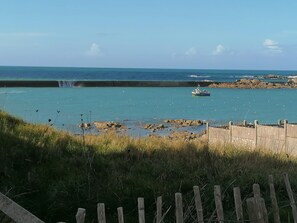 Beach/ocean view