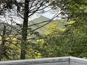 Mountain View from dining room balcony 