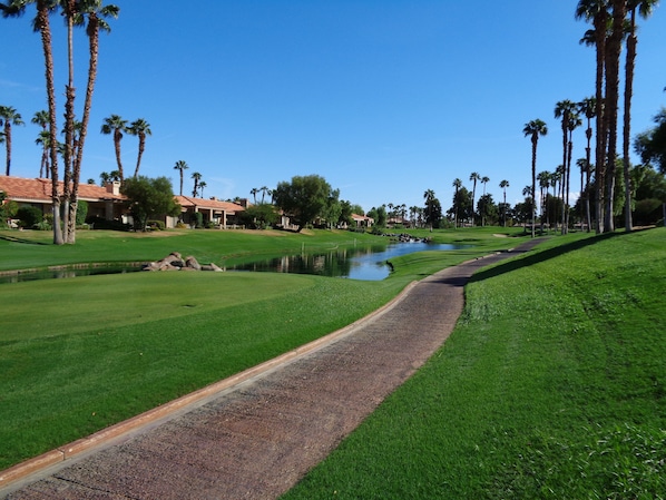 Patio View, 8th Tee of Palm Valley Country Club Challenger Course
