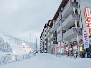 Sneeuw- en skisporten