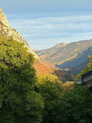 Terrain de l’hébergement 