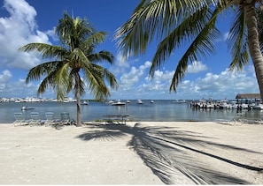 Vue sur la plage/l’océan