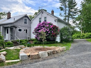 Back of the farmhouse.  The white house is the guest house.