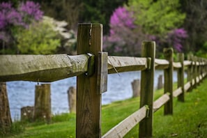 The fence along the main road