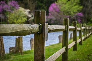 The fence along the main road 