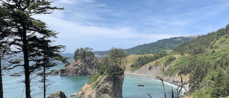 Nearby beaches and gorgeous Oregon Coast views. 