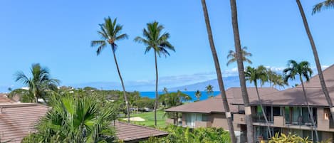 View from Lanai