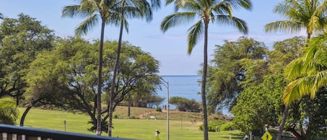 Gorgeous view of the Pacific Ocean from the private lanai. 