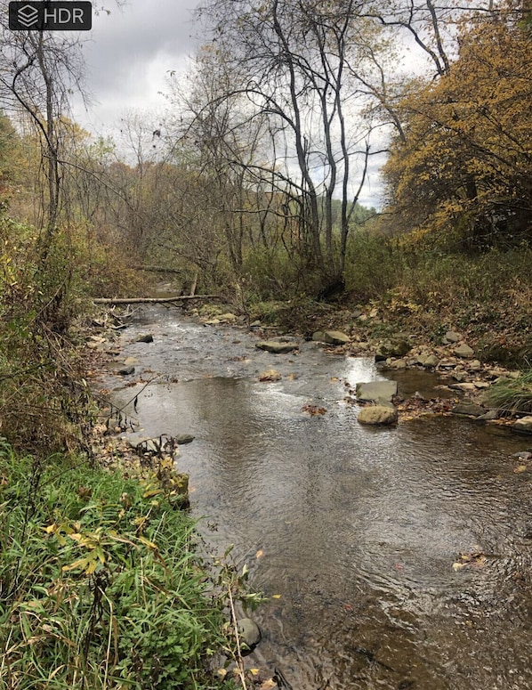 The creek in summer