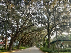 Magnolia Ave - Top 10 most beautiful streets in the USA - National Geographic.

Only a 2-min walk from the home!