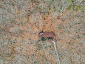 Overhead shot of Brown Manor