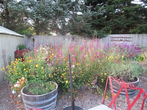 Abundance of seasonal flowers, plants and vegetables. 