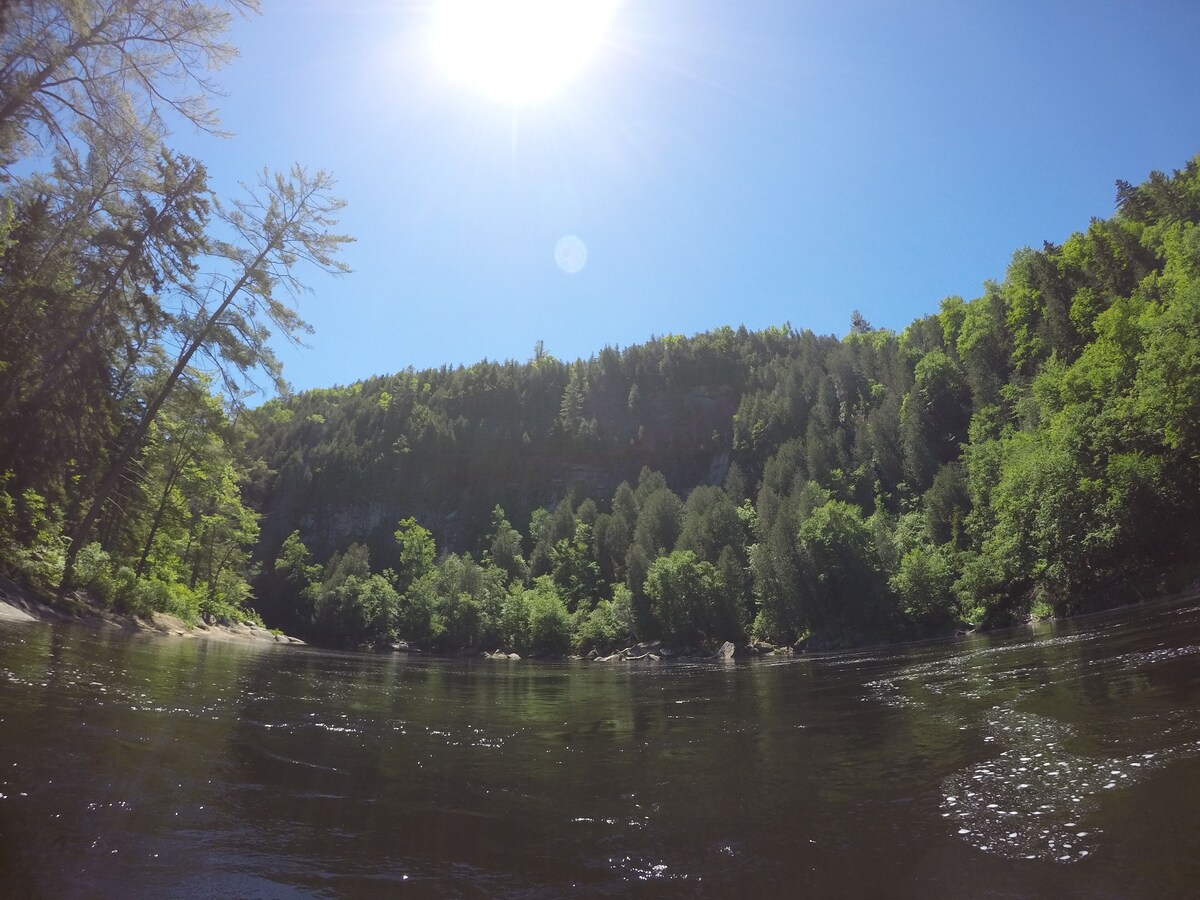 Main Image