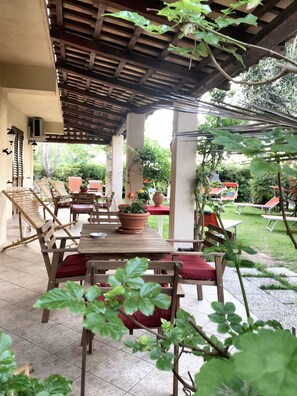 Terrace