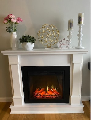 Remote Control Fireplace