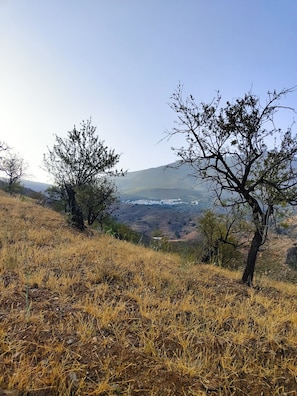 Terrain de l’hébergement 