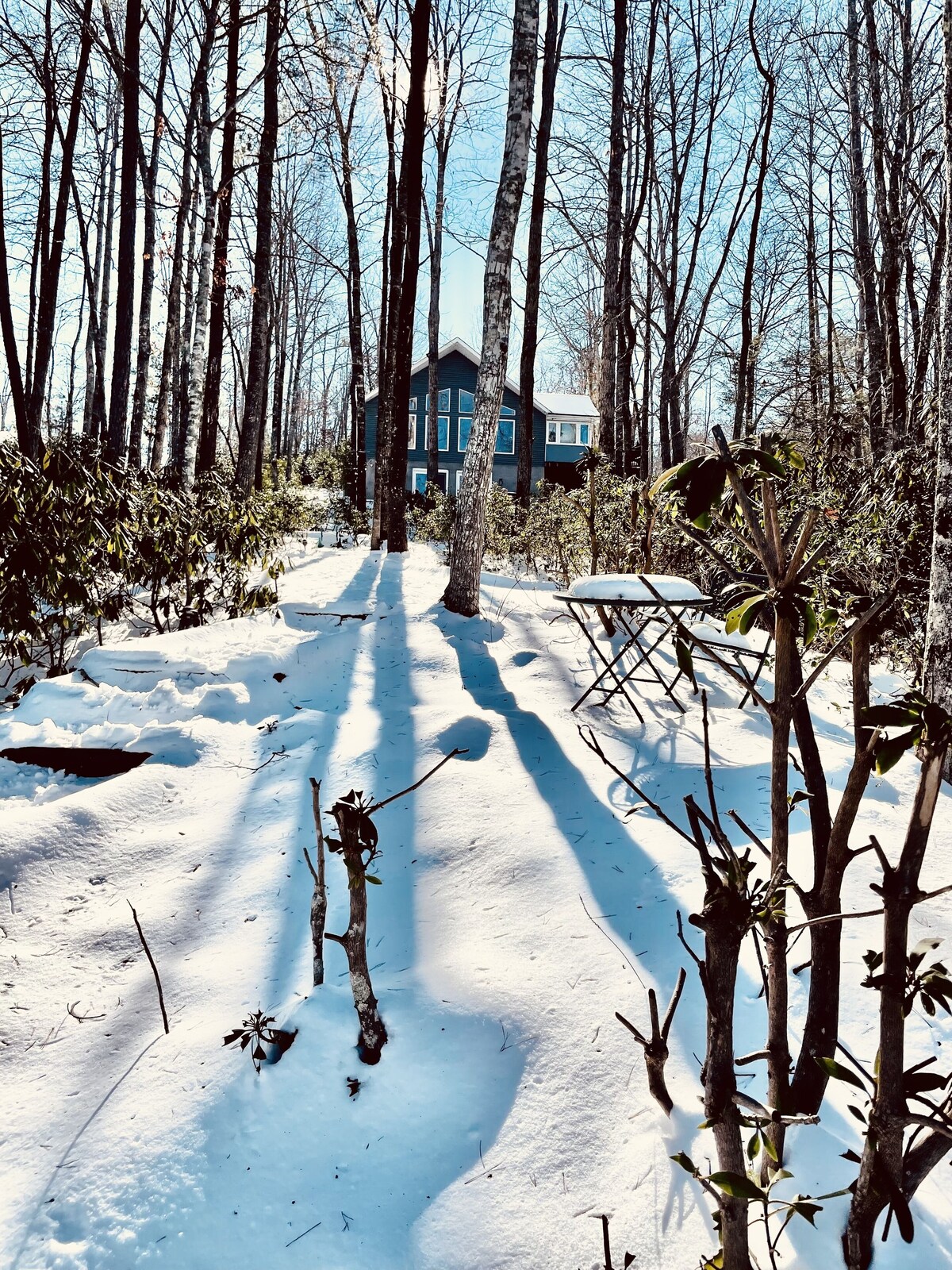 LakeHome nr/Lake Lure/Chimney Rock/ Asheville/Hendersonville/TIEC