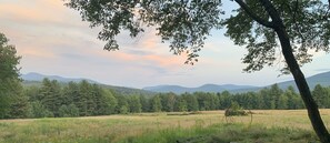 Summer View