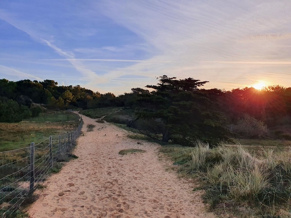 Chemin d'accès à la plage depuis la résidence à 800m à pieds 