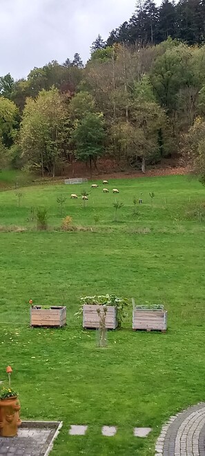 Aussicht