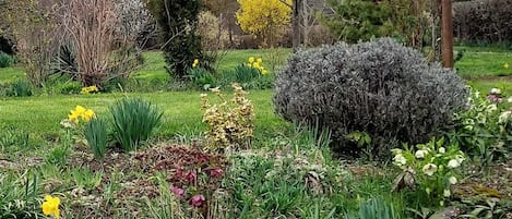 Terrain de l’hébergement 