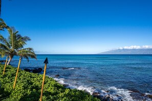 Relax while watching whales while in season!