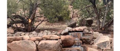 Our private pond with waterfall.