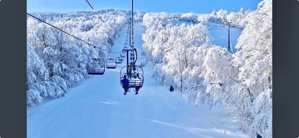 Snow and ski sports