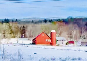 Winter Wonderland