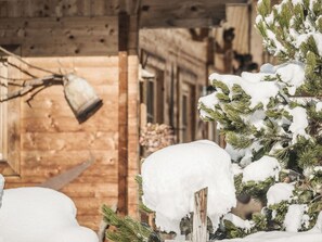 Pflanze, Gebäude, Fenster, Schnee, Zweig, Ast, Holz, Haus, Baum, Immergrün