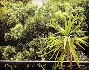 Gartenblick