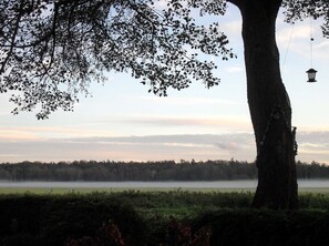 Nebel über unserer Wiese