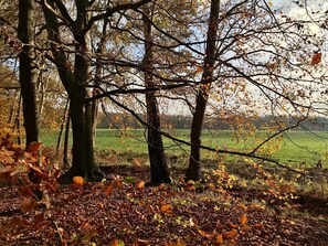 Einfach Herbst