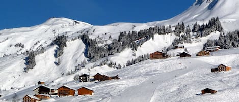 Sneeuw- en skisporten