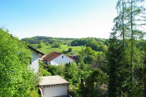 Sicht nach Süden vom Freisitz.