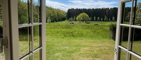 Blick aus dem Wohnzimmer auf die eigene Wildwiese