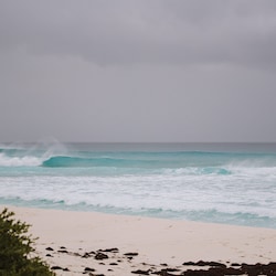 Swell at Surfer's Beach in Eleuthera, Bahamas.