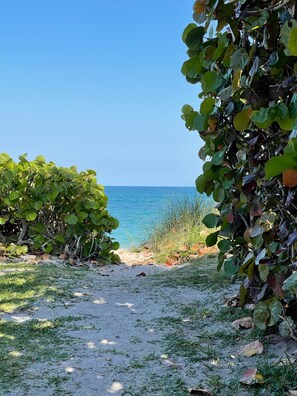 Your path to the private beach, accessible at the east end of Surf Lane.