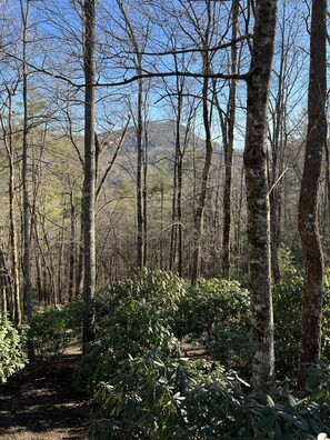 View from deck and king bedroom