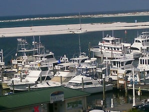Marina