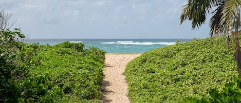Secluded beach access