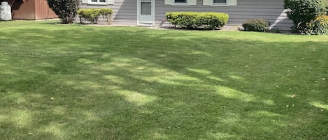 Great view of the cottage front with large lawn 
