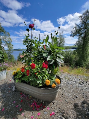 Overnatningsstedets område