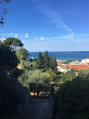 Vue sur la plage/l’océan