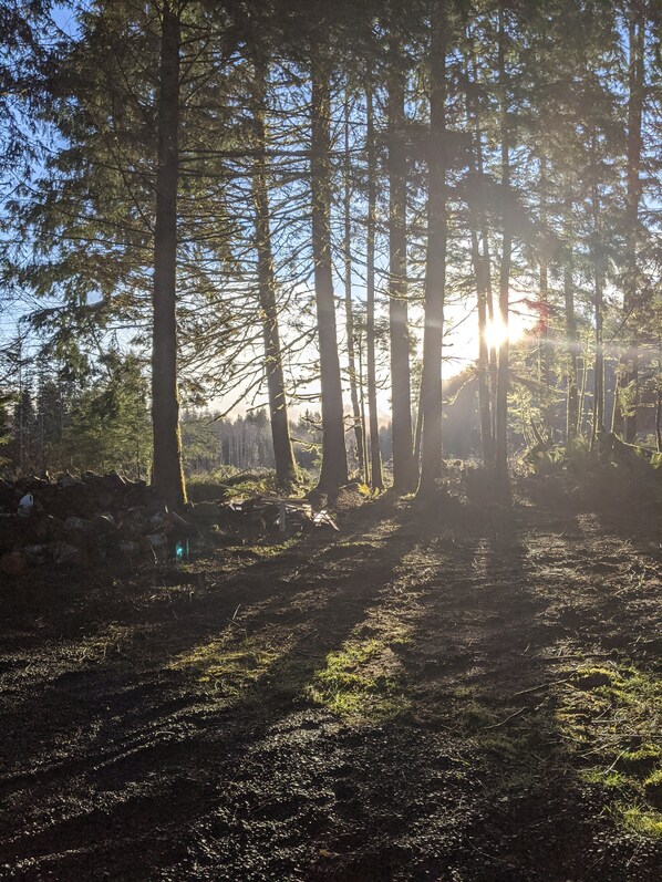 Ulkoalueet