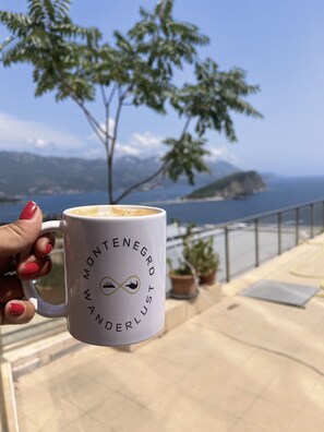 You can see The whole Montenegrin coast all the way to Albania from the balcony