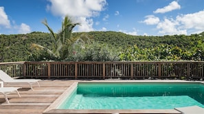Pool & Terrace