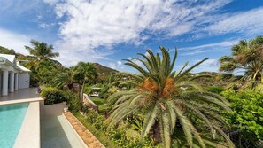 Pool & Terrace