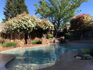 sport pool with baby shelf, waterfall and 6 feet deep in the center